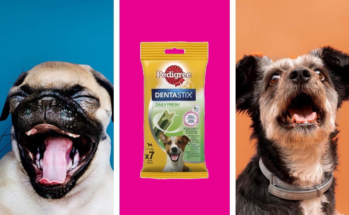 Dentastix recensione: fa bene o male?