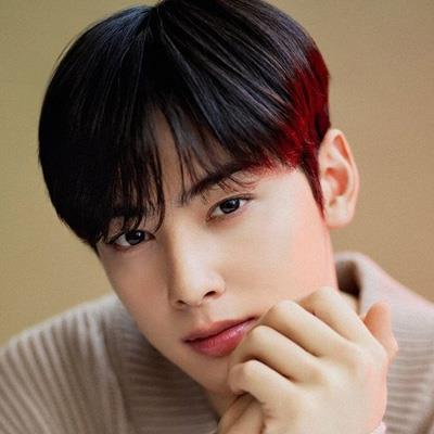 Cha Eun-woo