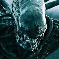 Xenomorfo  | Wikimedia Commons