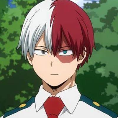 Shoto Todoroki