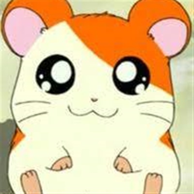 Hamtaro - Piccoli criceti, grandi avventure