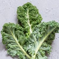 Kale  | OpenArt AI