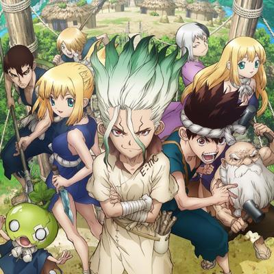 Dr. Stone