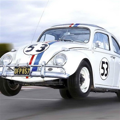 Herbie