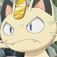 Meowth  | The Pokémon Company