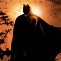 Batman Begins  | Warner Bros.