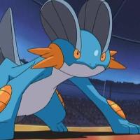 Swampert 