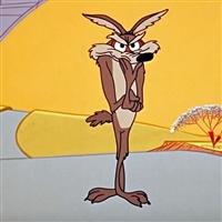 Willy il Coyote  | Warner Bros. Animation