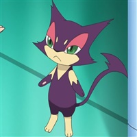 Purrloin  | The Pokémon Company