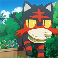 Litten  | The Pokémon Company