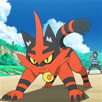 Torracat  | The Pokémon Company