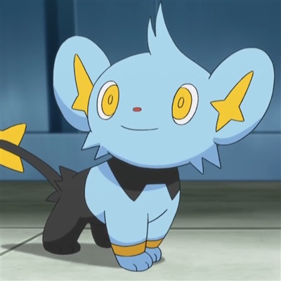 Shinx