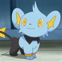 Shinx  | The Pokémon Company