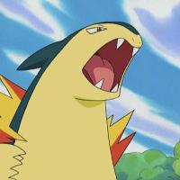 Typhlosion 