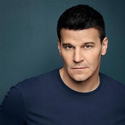 David Boreanaz