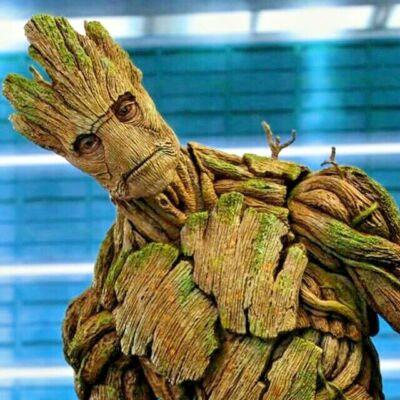 Groot