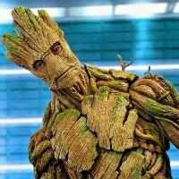 Groot