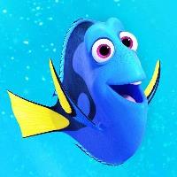 Dory