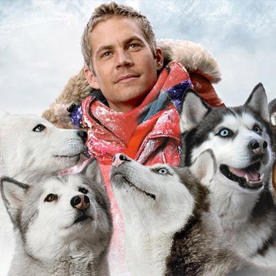 Eight Below - 8 amici da salvare